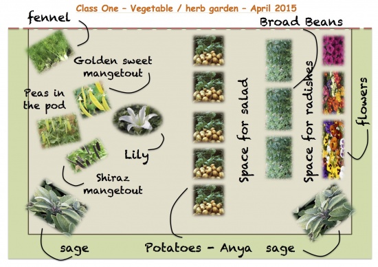 Class One Gardens