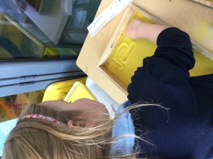 IMG_0419