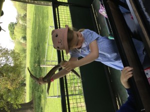 IMG_0428