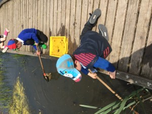 IMG_0533