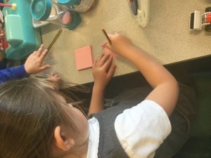 IMG_0816
